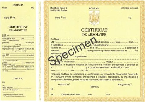 Model certificat de calificare profesională